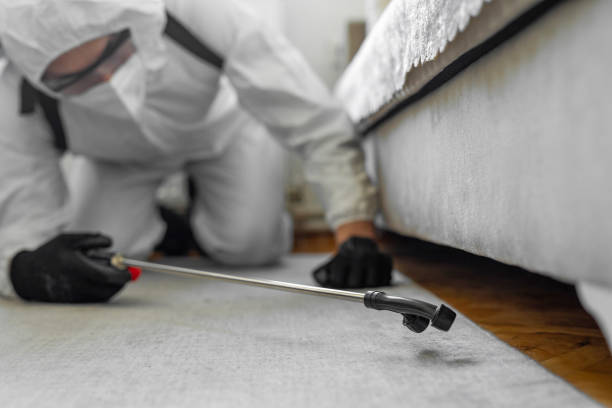 Professional Pest Control technician working in Washington County County, NC
